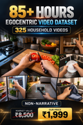 85 Hours Household Egocentric Non Narrative Video Dataset - 325 Videos